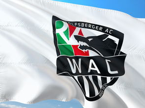 九游娱乐网站-“腰旗橄榄球：东部新区赛场充满热血与战术”  第2张