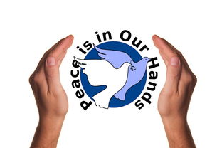 九游官网入口下载-决赛教练战术对决吸引全球关注，比赛中教练挑战是什么意思  第2张